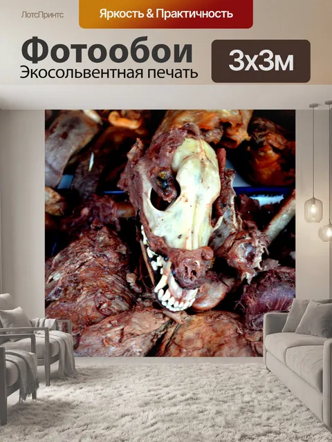 Фотообои Собачьего мяса