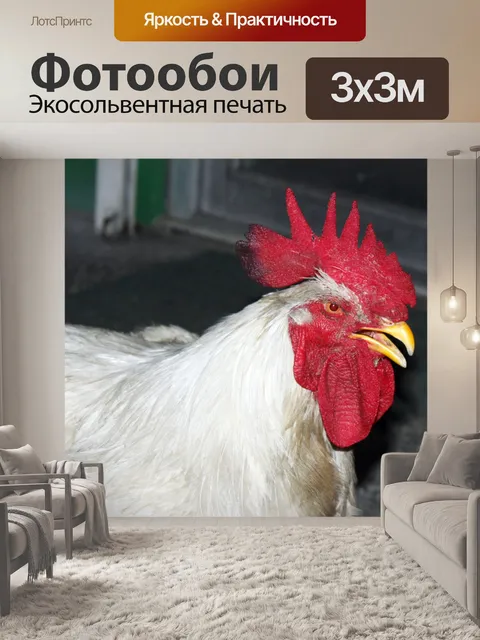 Фотообои Петух