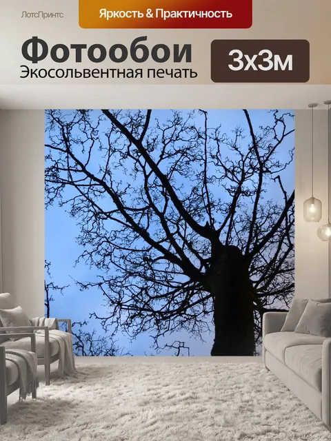 Фотообои дерева и голубое небо