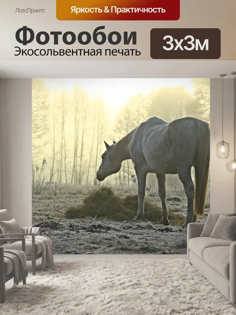 Фотообои Туман