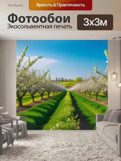 Фотообои яблоневый сад в цвету весной