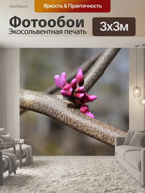 Фотообои Восточная редбад