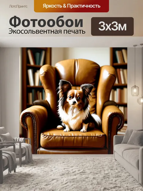 Фотообои описание: папильон, уютно устроившийся в старом кожаном кресле с книжной полкой на заднем плане, выполнено в…