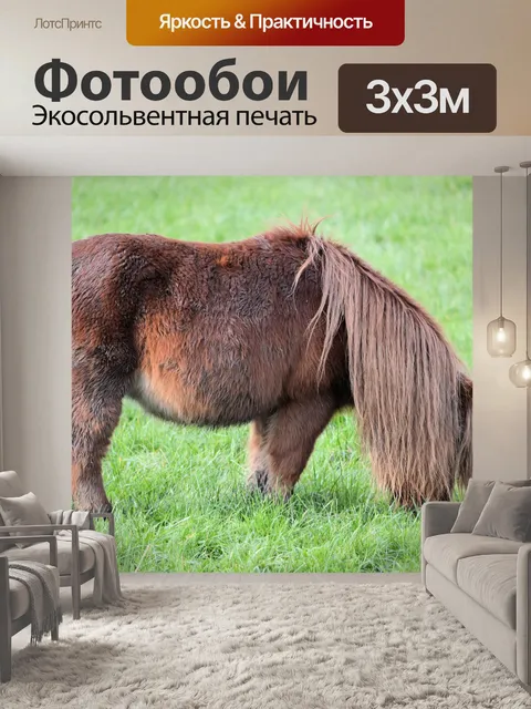 Фотообои Rasta пони