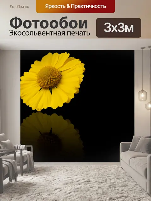 Фотообои Желтый цветок, черный фон