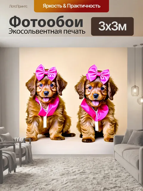 Фотообои щенки болонки, радостно позируя для фотографий, с яркими бантиками