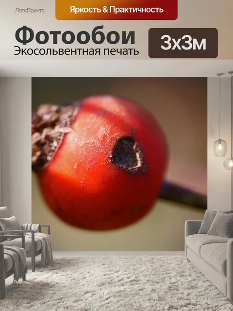 Фотообои отверстие в круглом красном спелом розов