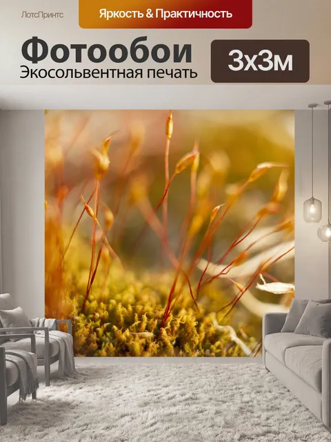 Фотообои Вниз