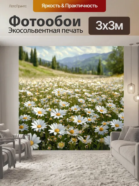 Фотообои поле ромашек, белые цветы, сила и энергия