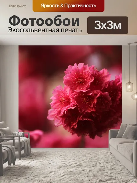 Фотообои Красный
