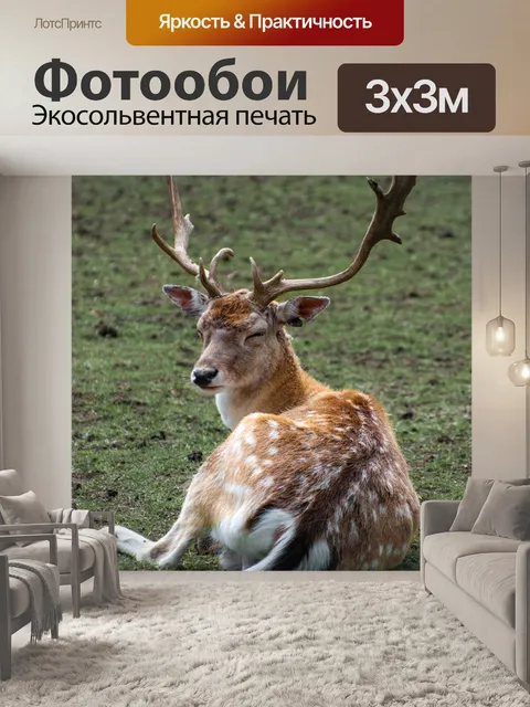 Фотообои Олень