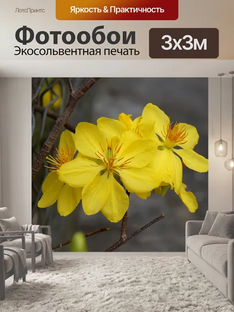 Фотообои Персиковый цветок