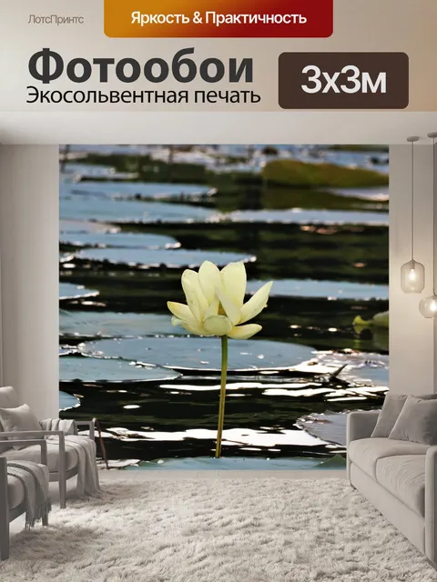Фотообои Белый лотос и лилии