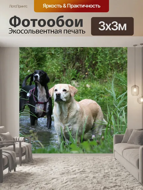 Фотообои Ручей