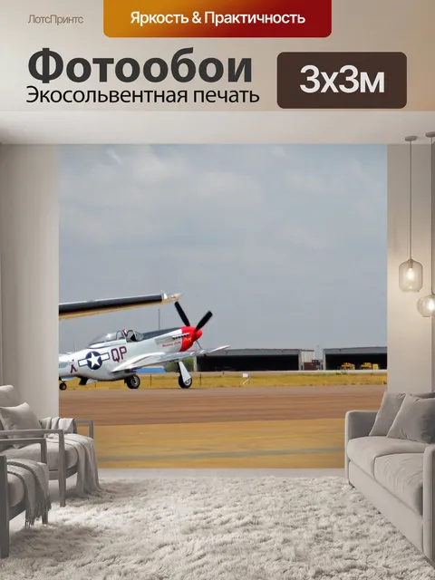 Фотообои мустанг на авиашоу