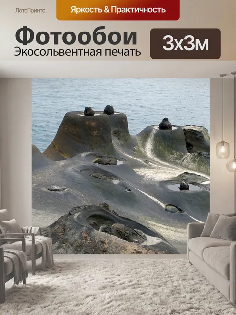 Фотообои Тайвань