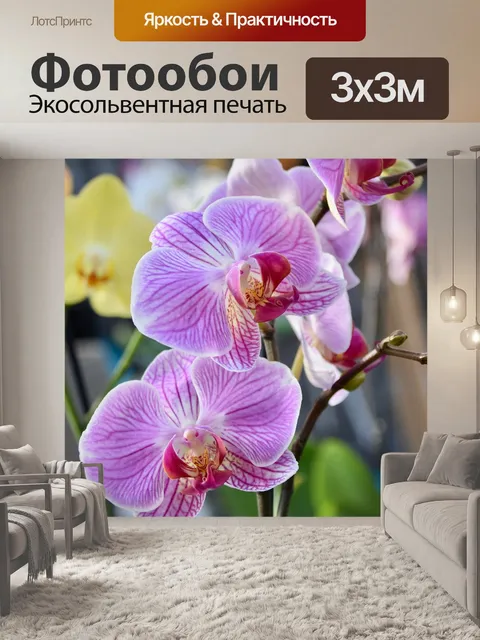 Фотообои Орхидеи