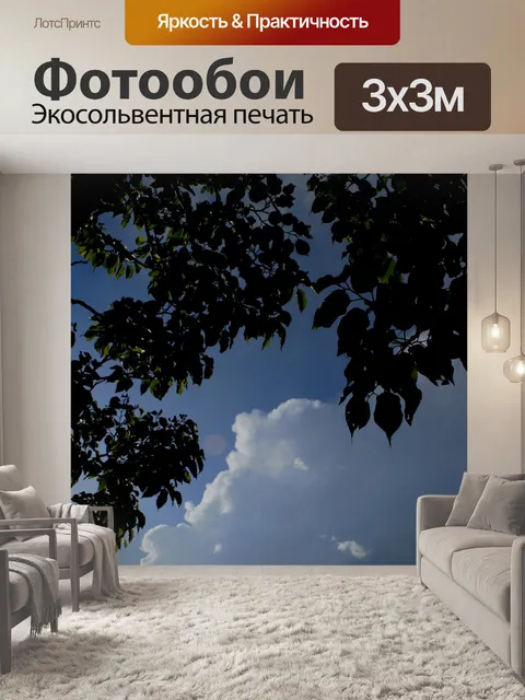 Фотообои листвой силуэта с облаком