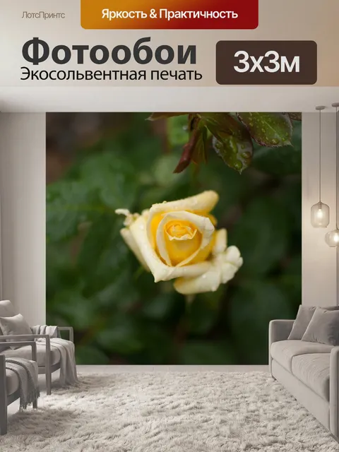 Фотообои Желтая роза