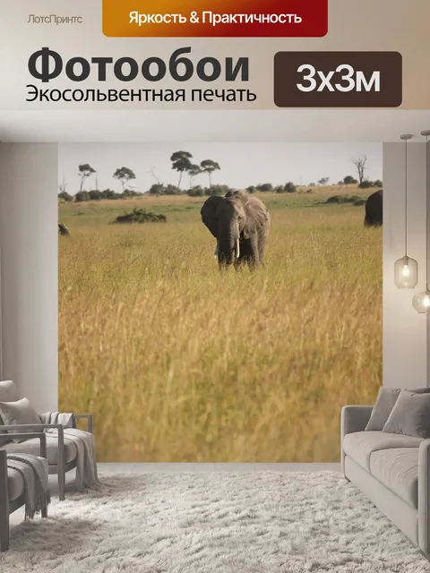Фотообои Слон
