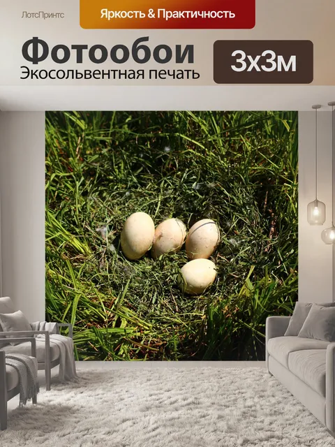 Фотообои Трава