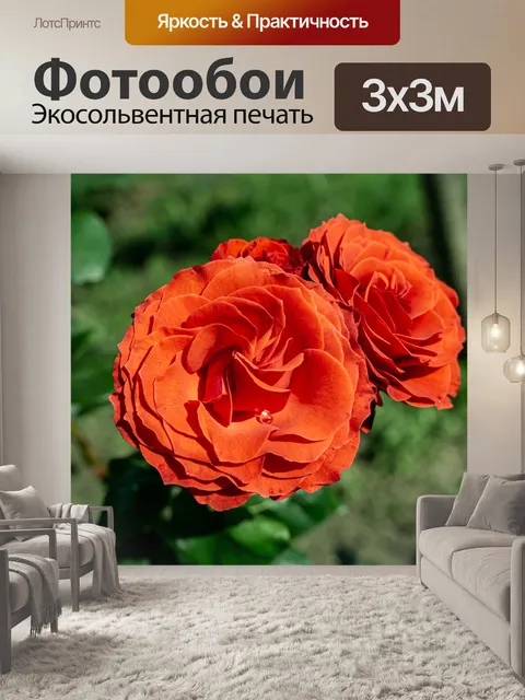 Фотообои Красные розы