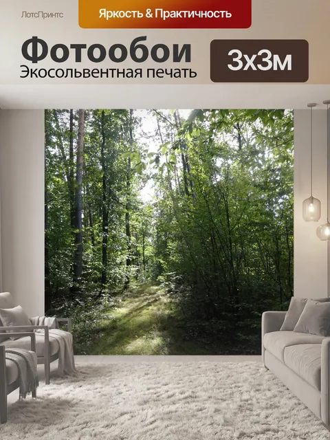 Фотообои Лес, Польша