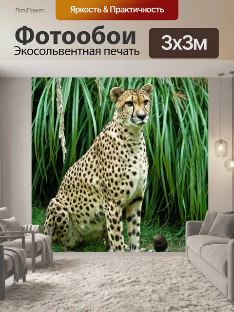 Фотообои Cheetah сидеть и смотреть