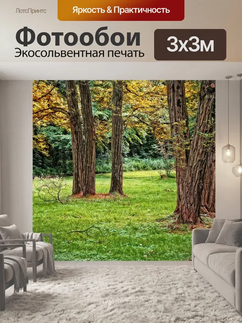 Фотообои Деревья осенняя листва луг