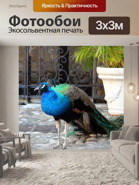 Фотообои Павлин