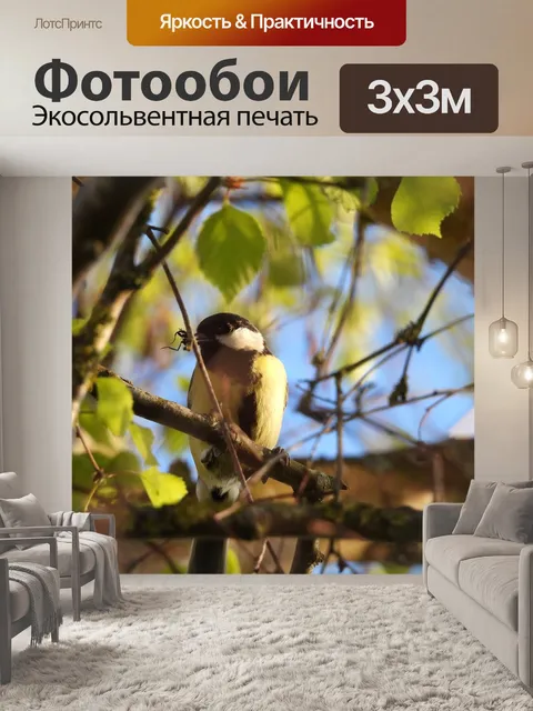 Фотообои Птица