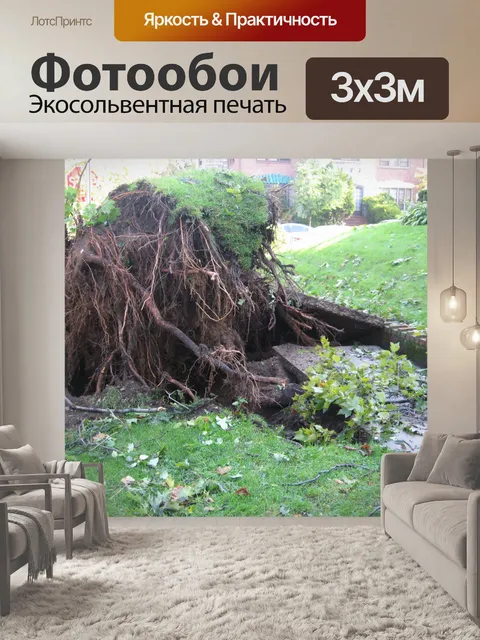Фотообои Торнадо Aftermath