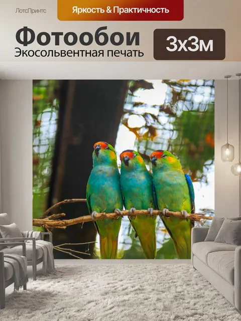 Фотообои Птицы