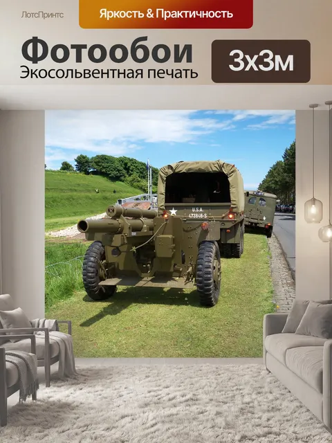 Фотообои Пушка