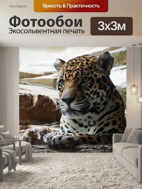 Фотообои Ягуар