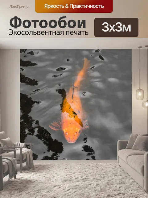 Фотообои Кои