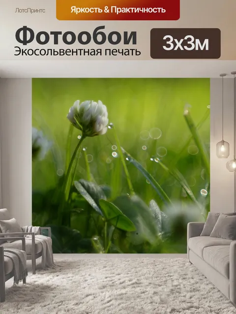 Фотообои Трава