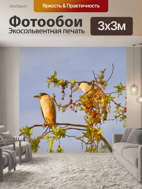 Фотообои Ночная цапля в деревьях