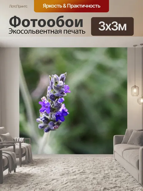 Фотообои фиолетовый цветок лаванды на стебле