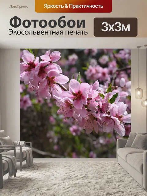 Фотообои Персиковый цвет