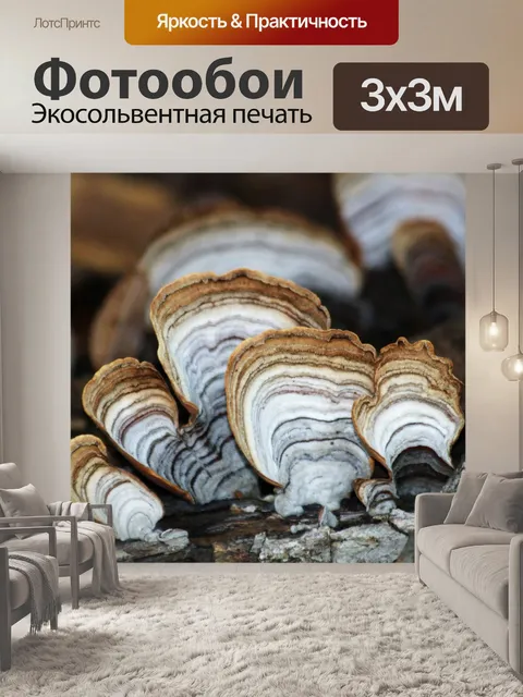 Фотообои Коричневый хвост в Турции хвост крупным