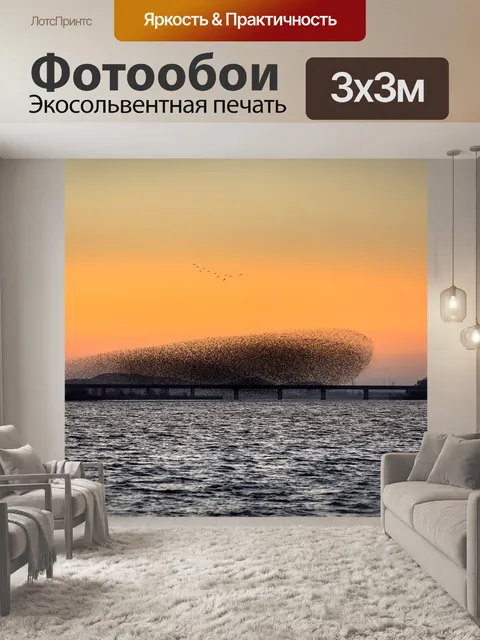 Фотообои Окна