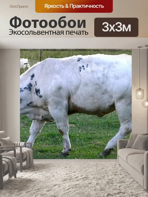 Фотообои Корова