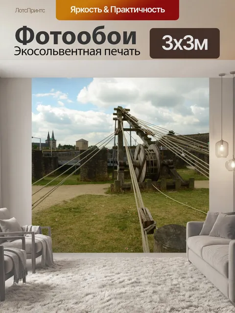 Фотообои Роман