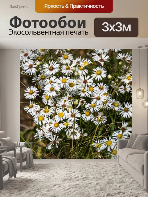 Фотообои маргаритки