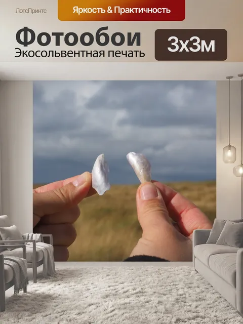 Фотообои Оболочка