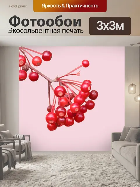 Фотообои Ягоды на розовом фоне