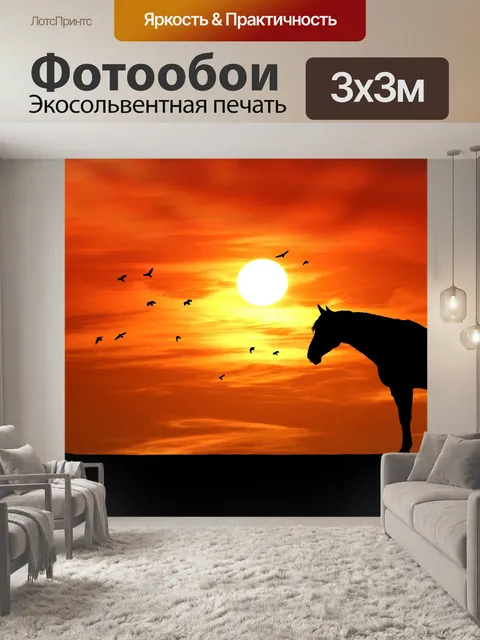 Фотообои Силуэт лошади на закате