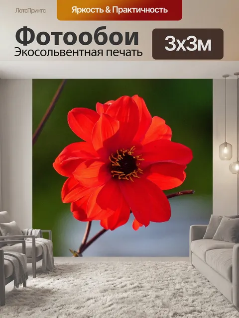 Фотообои Далия