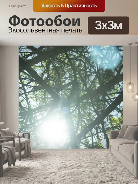 Фотообои Саншайн
